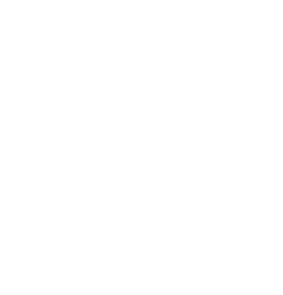 fbi-lindau.de_logo_white_seamless
